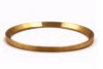 [EP0020] Seal Hoop Check Valve Body